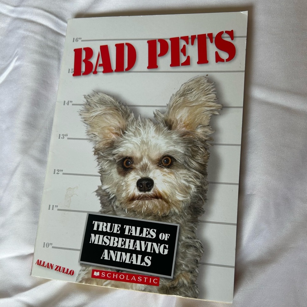 Scholastic Red Cover Book with Humorous Animal Stories